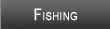 Island Lake Fishing